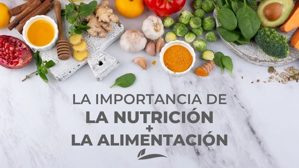 importancia de la nutricion