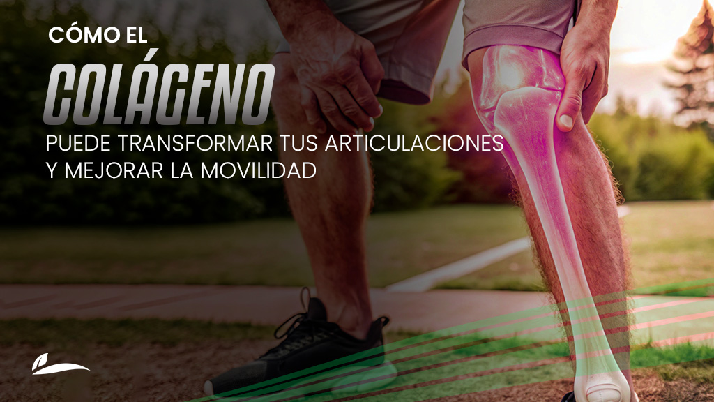 como el colágeno puede transformar tus articulaciones