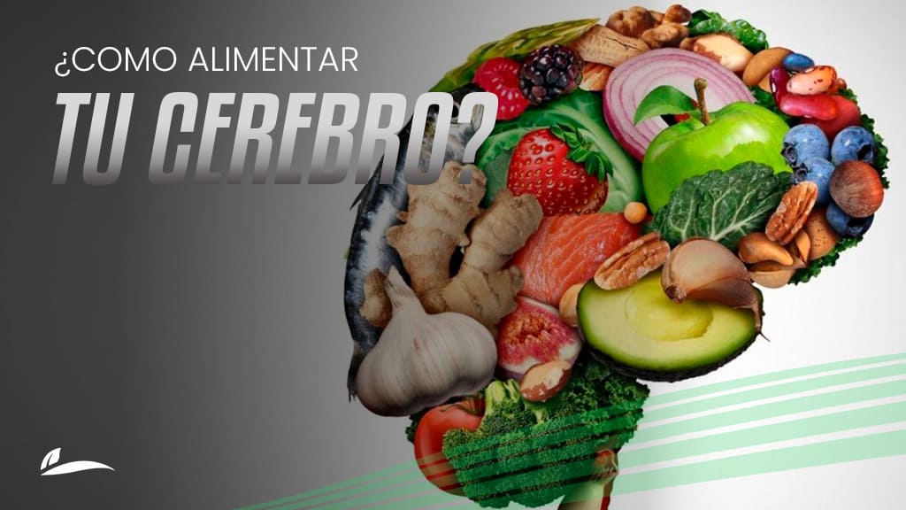 Banner Como alimentar tu cerebro