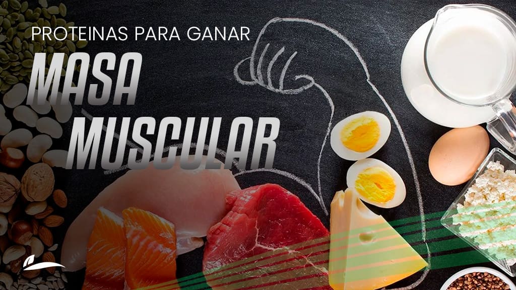 Banner Proteinas para ganar masa muscular
