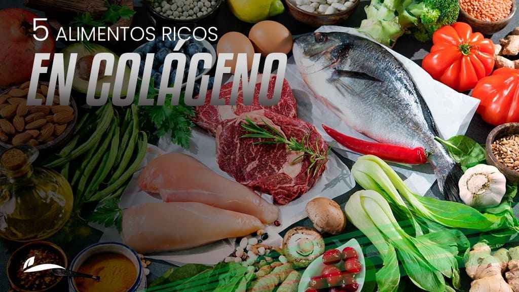 Banner 5 Alimentos Rico en colageno