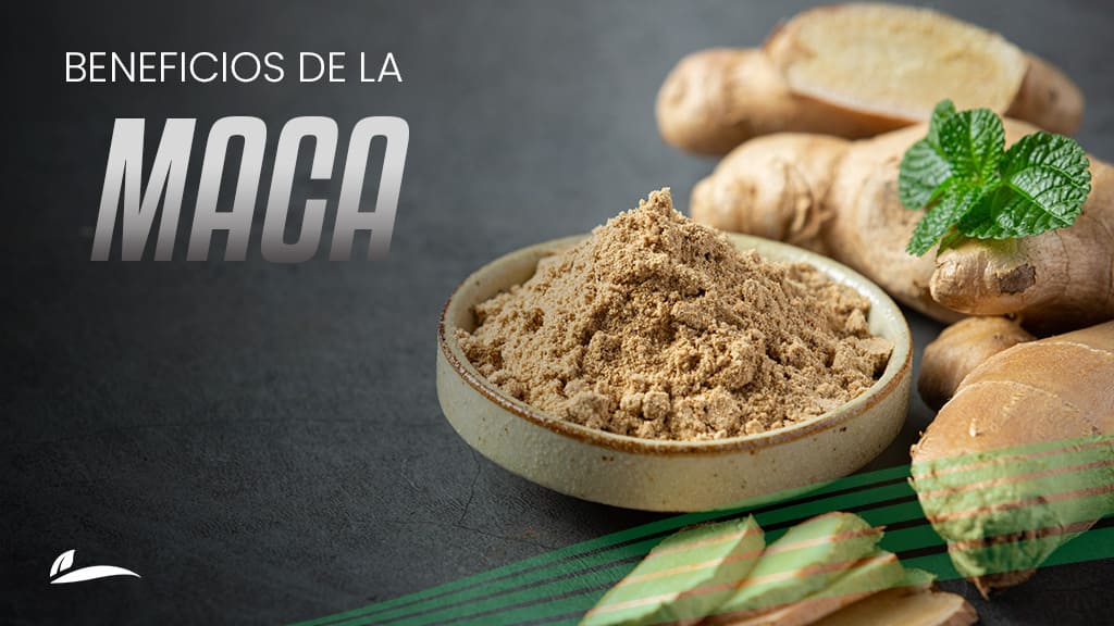 Banner Beneficios de la Maca