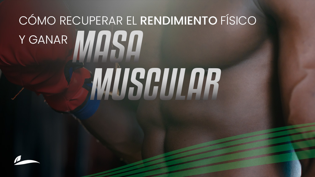 Cómo recuperar el rendimiento fÃsico y ganar masa muscular después de los 35